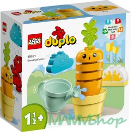 Klocki DUPLO 10981 Rosnąca marchewka