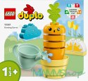 Klocki DUPLO 10981 Rosnąca marchewka