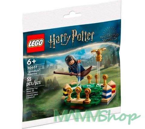 Klocki Harry Potter 30651 Trening quidditcha