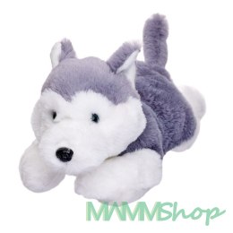 Maskotka Pies Husky leżący 35 cm