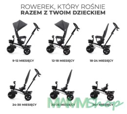 Rowerek trójkołowy AVEO MALACHITE GREY