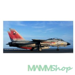 Model plastikowy F-14D Super Tomcat