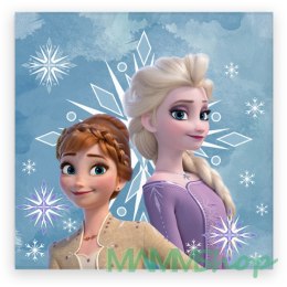 Ręcznik dziecięcy frotte 30x30 Frozen