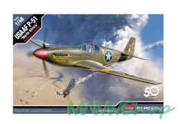 Plastikowy model USAAF P-51 North Africa